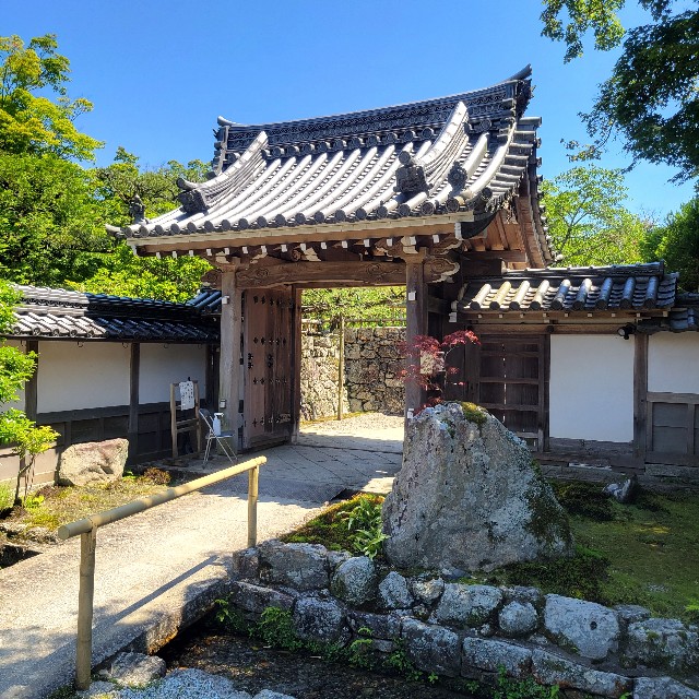 f:id:atoriatoriatori:20240623195552j:image f:id:atoriatoriatori:20240623195552j:image