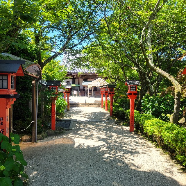 f:id:atoriatoriatori:20240623195621j:image f:id:atoriatoriatori:20240623195621j:image