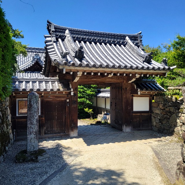 f:id:atoriatoriatori:20240624091725j:image f:id:atoriatoriatori:20240624091725j:image