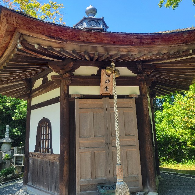 f:id:atoriatoriatori:20240624093651j:image f:id:atoriatoriatori:20240624093651j:image