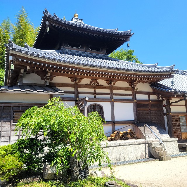 f:id:atoriatoriatori:20240624094235j:image f:id:atoriatoriatori:20240624094235j:image