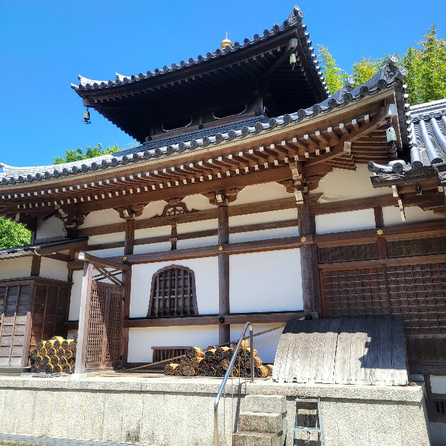 f:id:atoriatoriatori:20240624094259j:image f:id:atoriatoriatori:20240624094259j:image