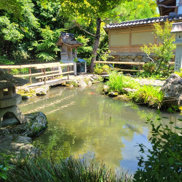 f:id:atoriatoriatori:20240624103547j:image f:id:atoriatoriatori:20240624103547j:image