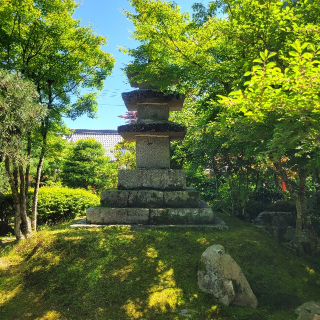 f:id:atoriatoriatori:20240624103818j:image f:id:atoriatoriatori:20240624103818j:image