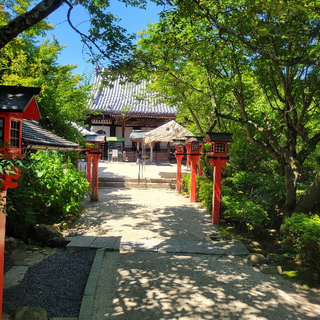 f:id:atoriatoriatori:20240624103835j:image f:id:atoriatoriatori:20240624103835j:image