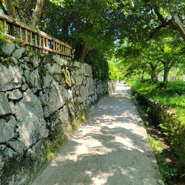 f:id:atoriatoriatori:20240624104001j:image f:id:atoriatoriatori:20240624104001j:image