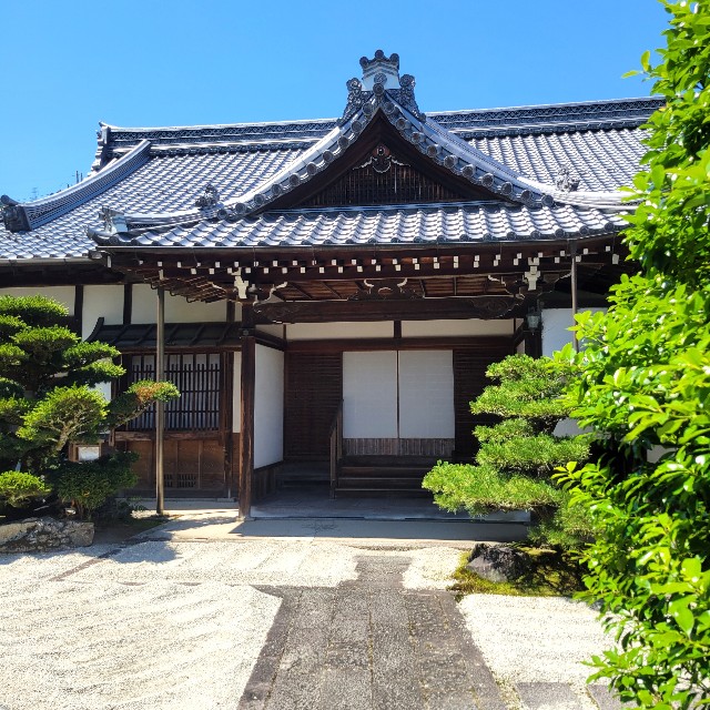 f:id:atoriatoriatori:20240624104019j:image f:id:atoriatoriatori:20240624104019j:image