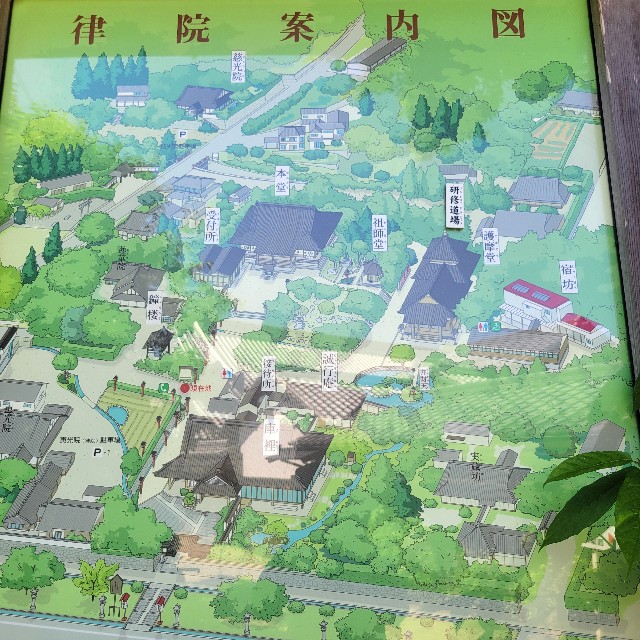 f:id:atoriatoriatori:20240624104054j:image f:id:atoriatoriatori:20240624104054j:image