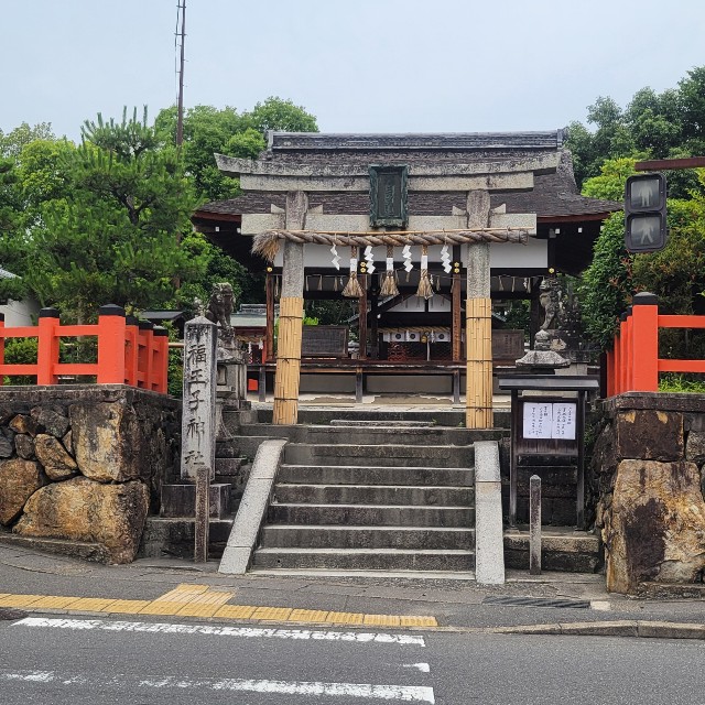 f:id:atoriatoriatori:20240628084704j:image