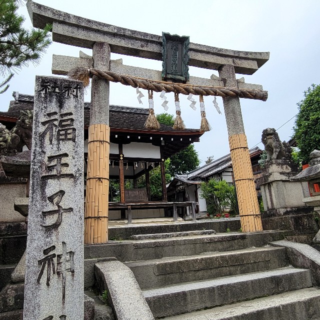 f:id:atoriatoriatori:20240628084710j:image