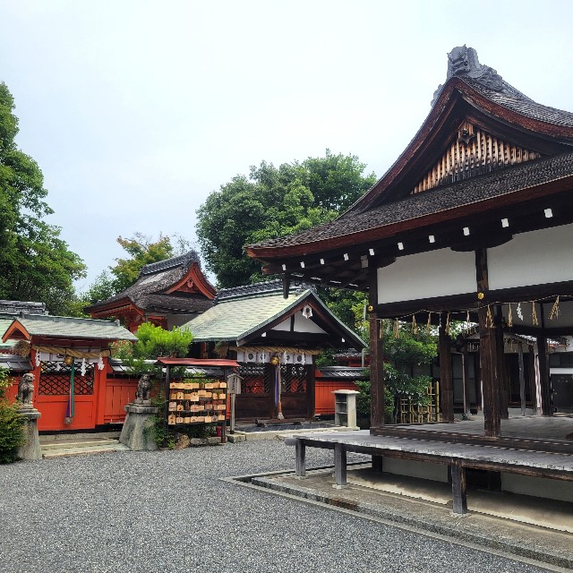 f:id:atoriatoriatori:20240628094147j:image