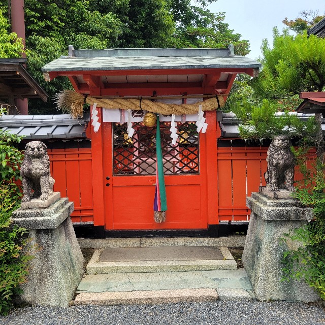 f:id:atoriatoriatori:20240628094214j:image