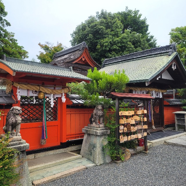 f:id:atoriatoriatori:20240628094221j:image