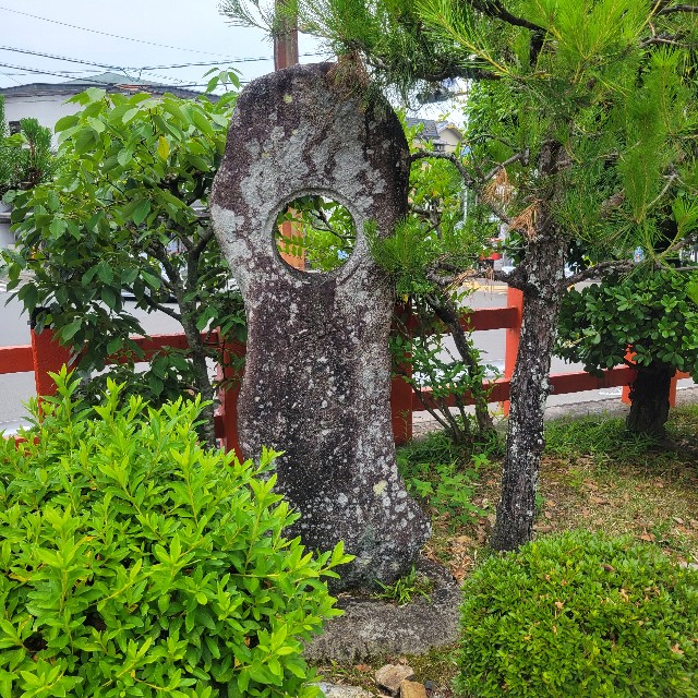 f:id:atoriatoriatori:20240628094806j:image