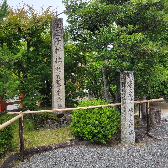 f:id:atoriatoriatori:20240628094815j:image