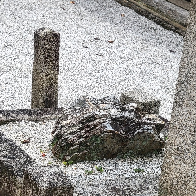 f:id:atoriatoriatori:20240628102508j:image