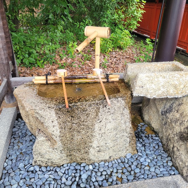 f:id:atoriatoriatori:20240628102854j:image