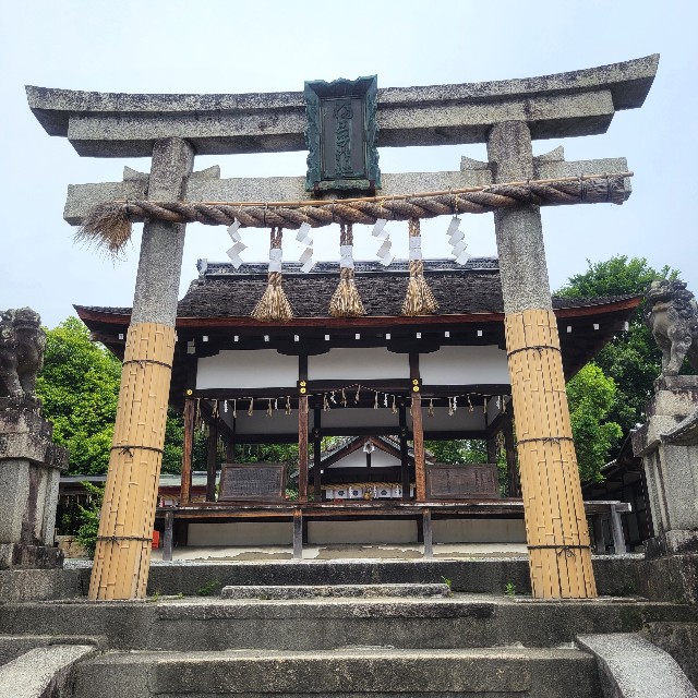 f:id:atoriatoriatori:20240628103033j:image