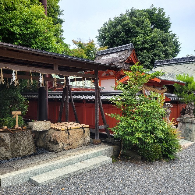 f:id:atoriatoriatori:20240628103212j:image