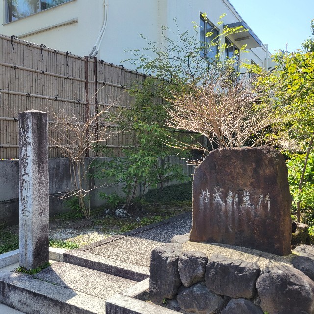 f:id:atoriatoriatori:20240701101639j:image