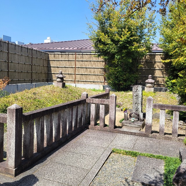 f:id:atoriatoriatori:20240701105754j:image