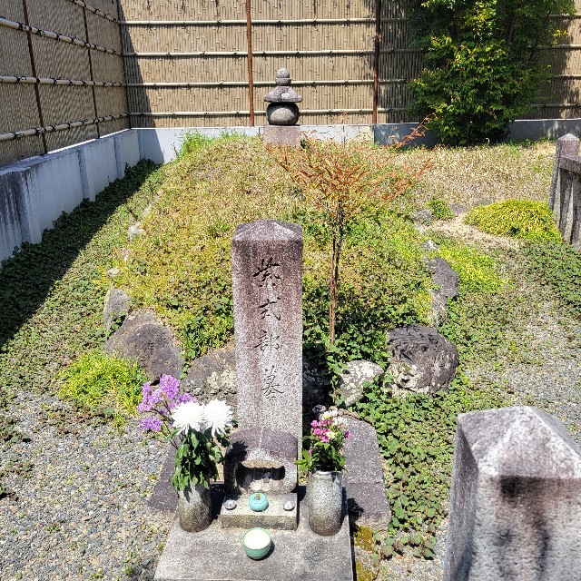 f:id:atoriatoriatori:20240701105915j:image