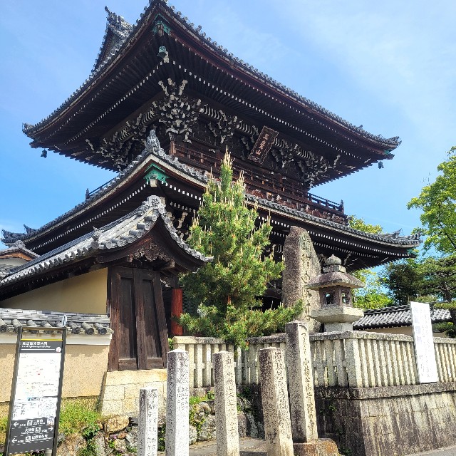 f:id:atoriatoriatori:20240701164533j:image