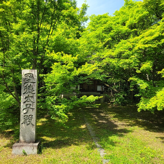 f:id:atoriatoriatori:20240701204757j:image