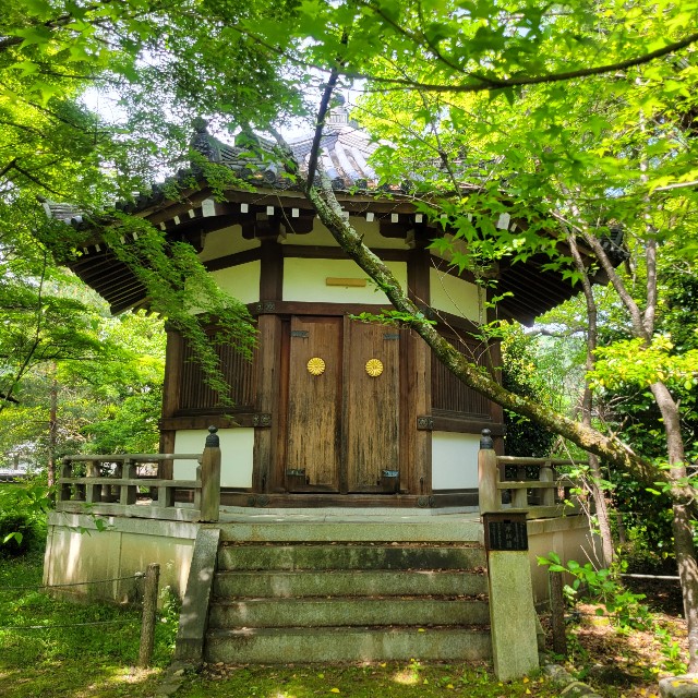 f:id:atoriatoriatori:20240701204808j:image