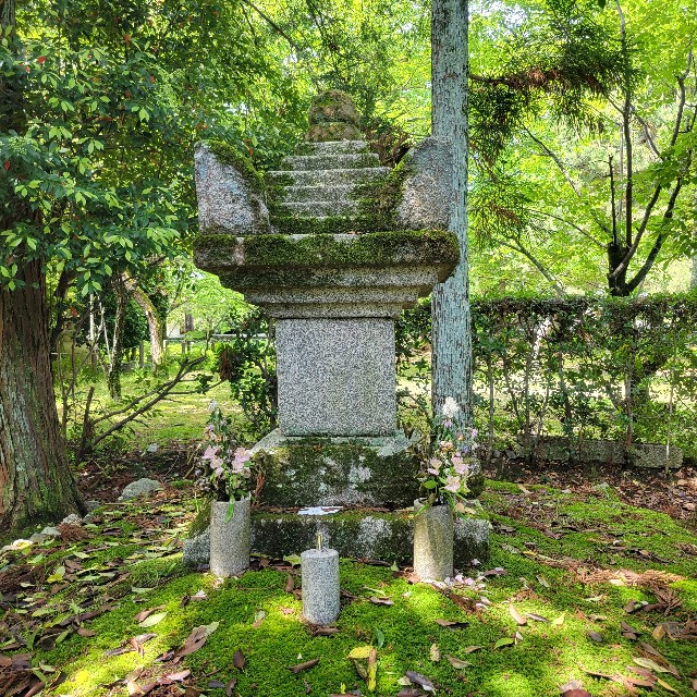 f:id:atoriatoriatori:20240701204858j:image
