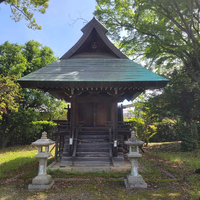 f:id:atoriatoriatori:20240701205233j:image