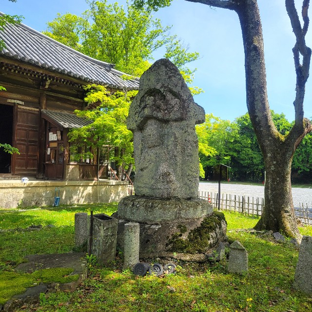 f:id:atoriatoriatori:20240701205449j:image