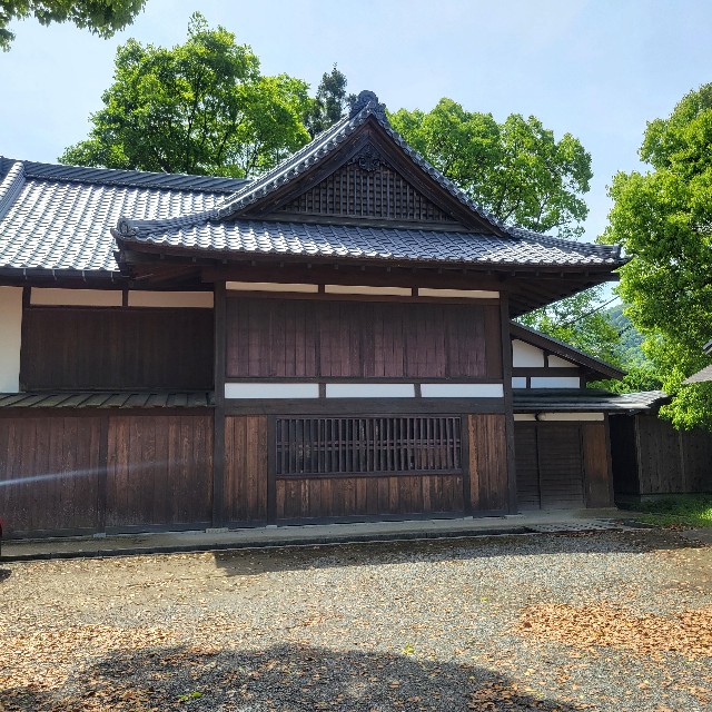 f:id:atoriatoriatori:20240702091339j:image