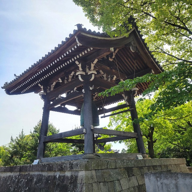 f:id:atoriatoriatori:20240702094317j:image