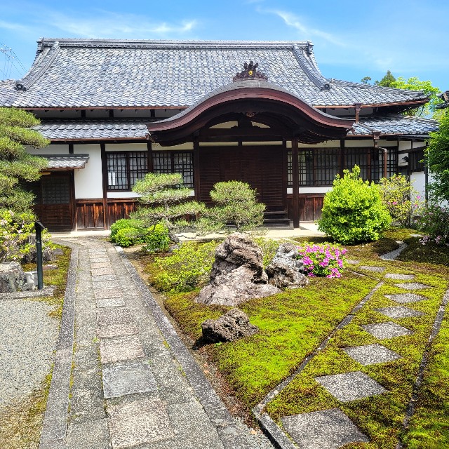 f:id:atoriatoriatori:20240702095405j:image