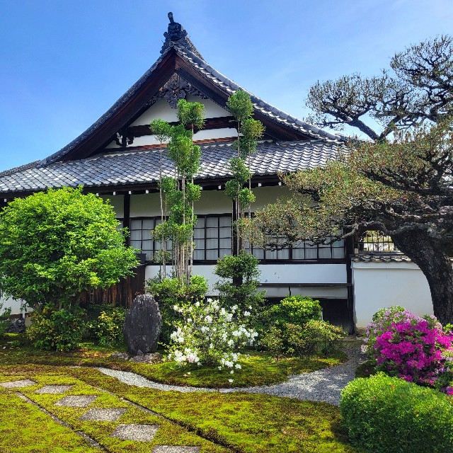 f:id:atoriatoriatori:20240702095413j:image