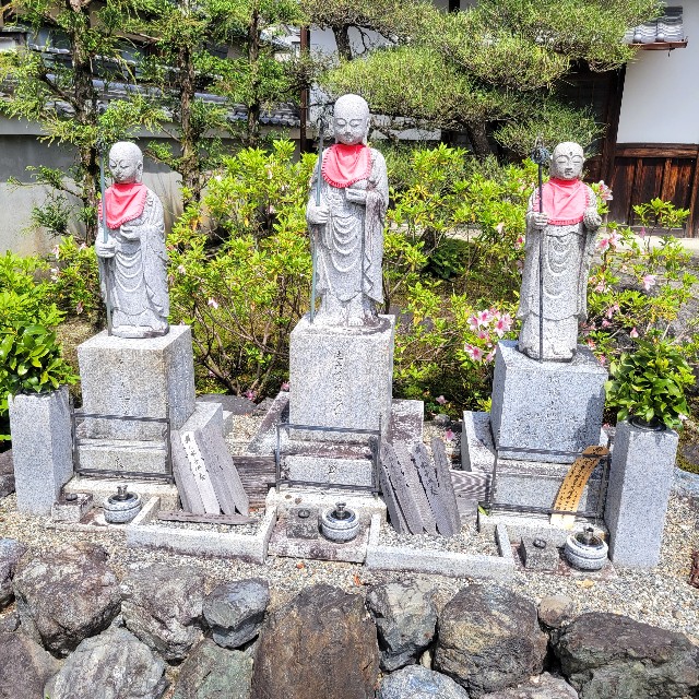 f:id:atoriatoriatori:20240702095421j:image