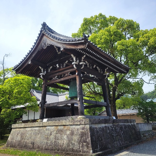 f:id:atoriatoriatori:20240702104244j:image
