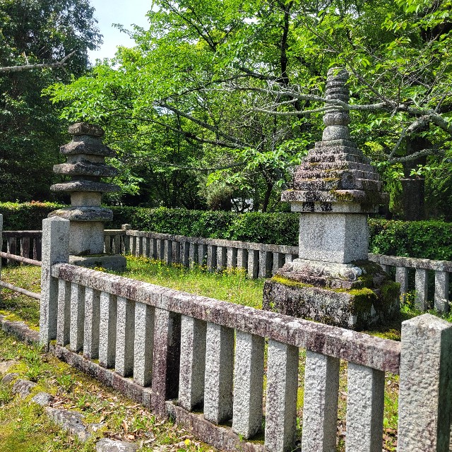 f:id:atoriatoriatori:20240702104343j:image