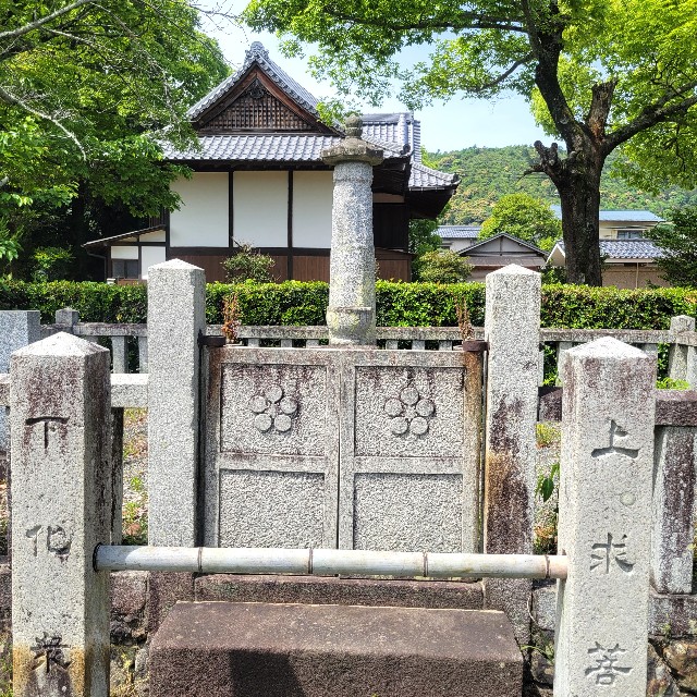 f:id:atoriatoriatori:20240702104635j:image