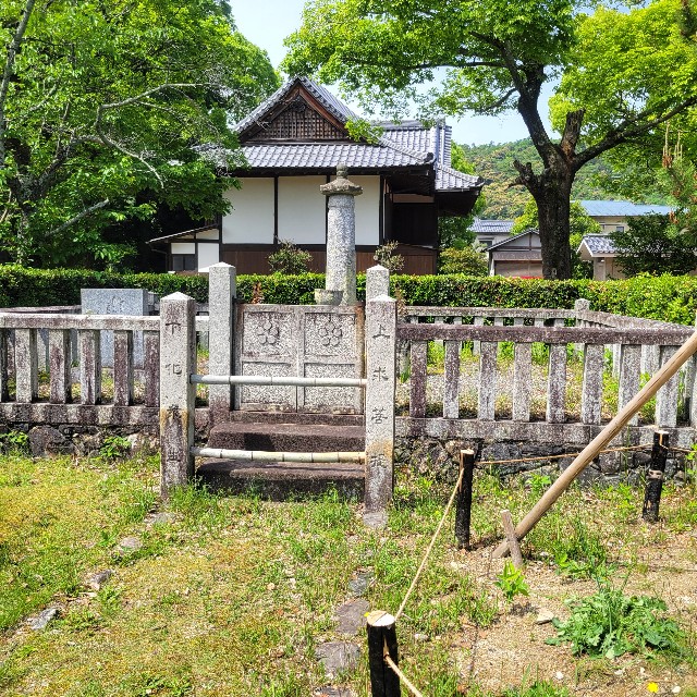 f:id:atoriatoriatori:20240702104641j:image