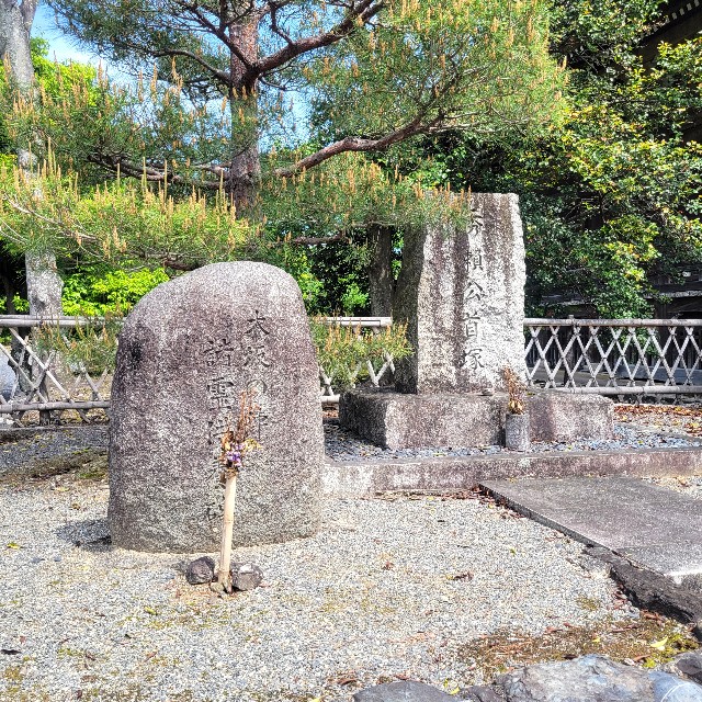 f:id:atoriatoriatori:20240702105051j:image