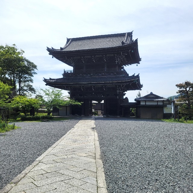 f:id:atoriatoriatori:20240702105630j:image