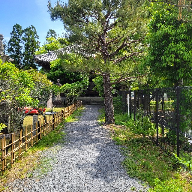 f:id:atoriatoriatori:20240702105708j:image