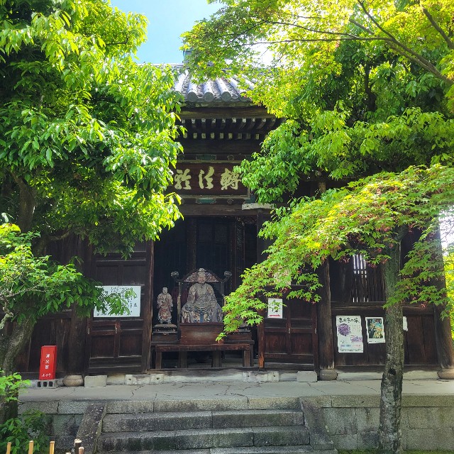 f:id:atoriatoriatori:20240702105716j:image