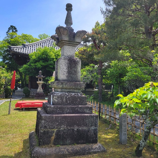 f:id:atoriatoriatori:20240702105808j:image