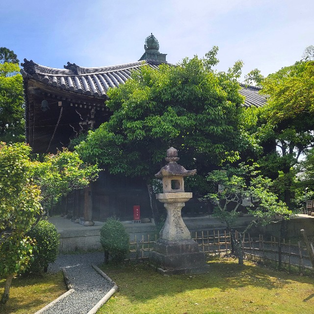 f:id:atoriatoriatori:20240702110032j:image