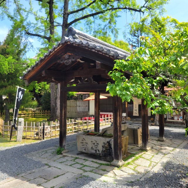 f:id:atoriatoriatori:20240702110040j:image