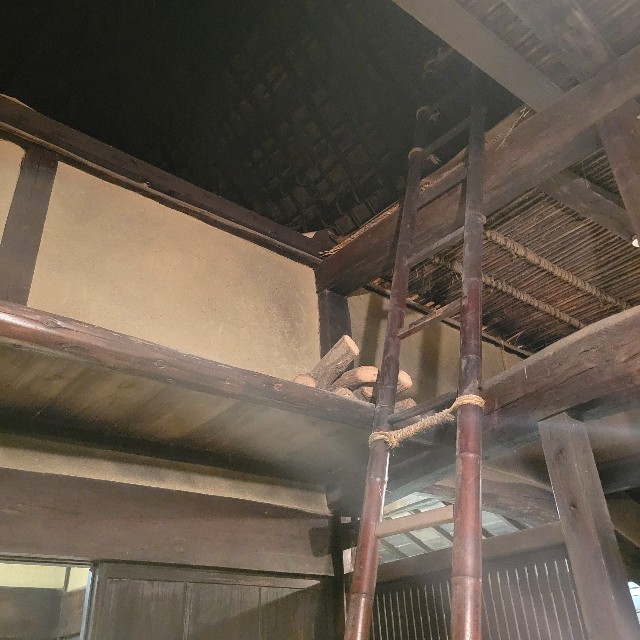 f:id:atoriatoriatori:20240710090432j:image