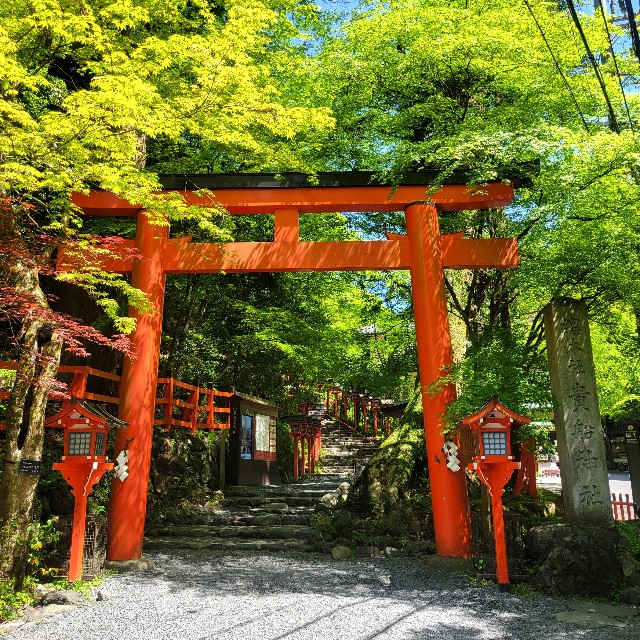 f:id:atoriatoriatori:20240719094504j:image